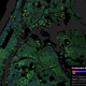Image for article titled The Exact Age of Almost Every Building in NYC, in One Map
